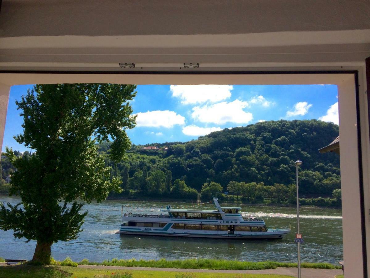 Haus Am Ufer Mit Rheinpanoramablick *
