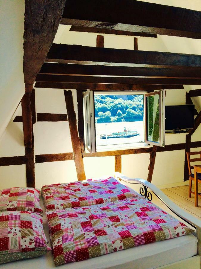 Haus Am Ufer Mit Rheinpanoramablick *