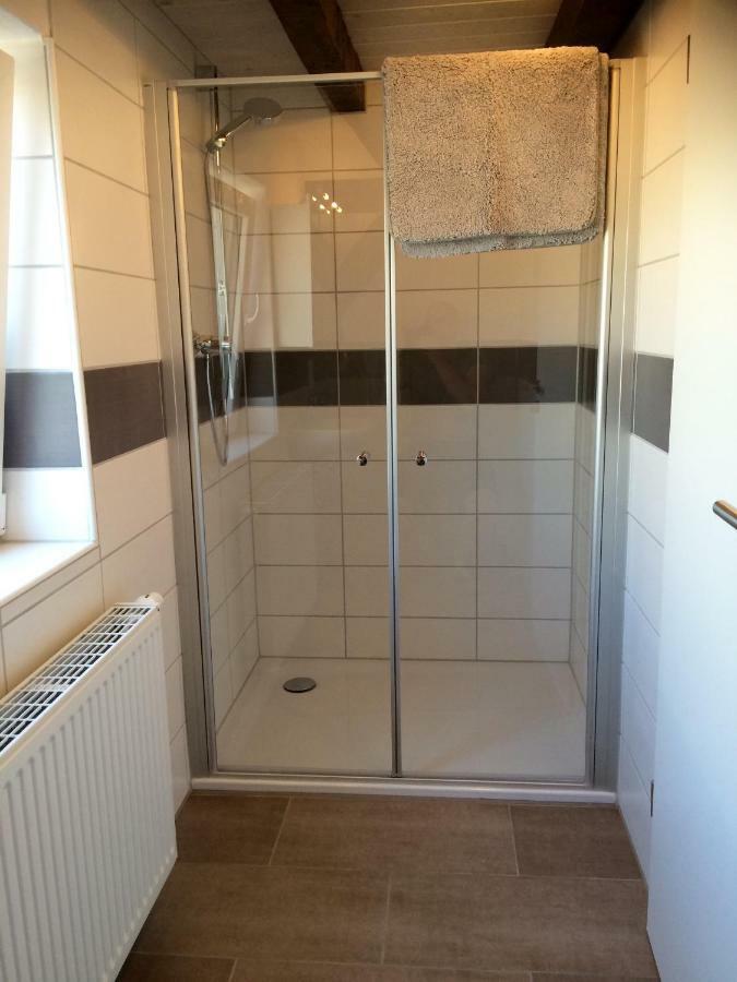 Haus Am Ufer Mit Rheinpanoramablick *