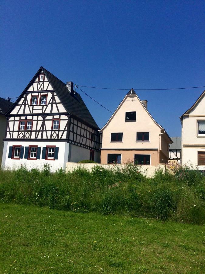 Apartment Haus Am Ufer Mit Rheinpanoramablick Koblenz (Rhineland-Palatinate)