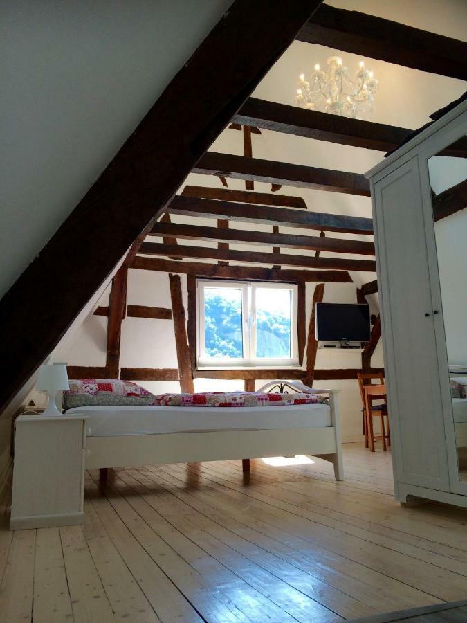 Haus Am Ufer Mit Rheinpanoramablick Koblenz (Rhineland-Palatinate)