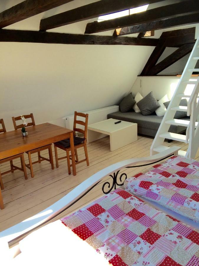 Haus Am Ufer Mit Rheinpanoramablick Apartment *