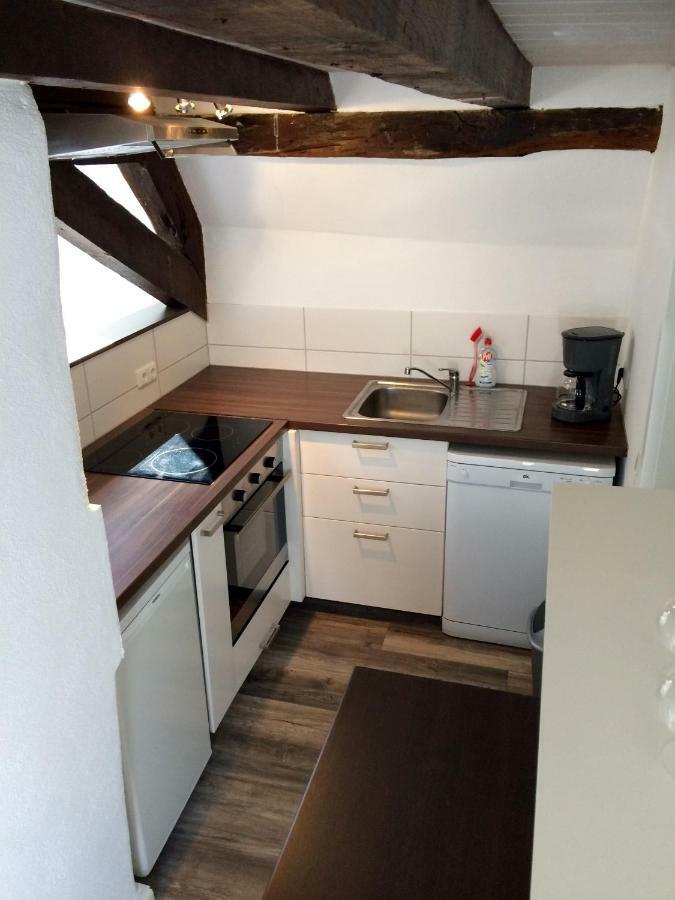 Haus Am Ufer Mit Rheinpanoramablick