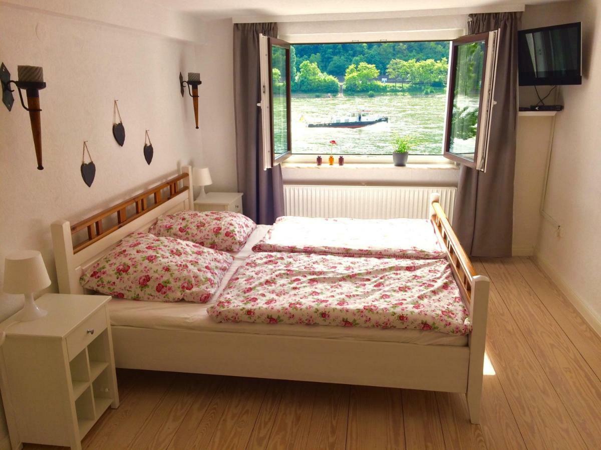 Haus Am Ufer Mit Rheinpanoramablick *