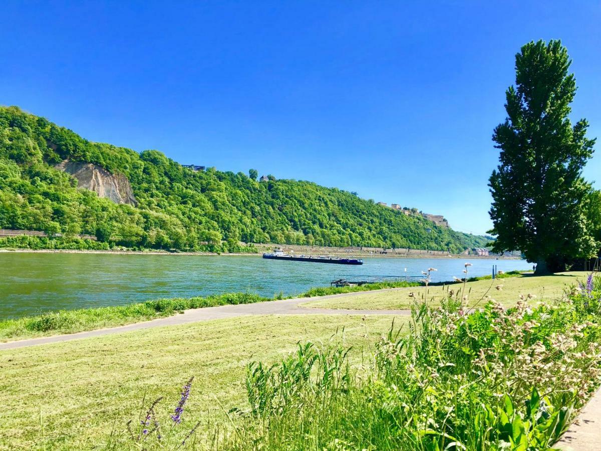 Haus Am Ufer Mit Rheinpanoramablick *